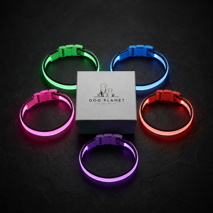 DogPlanet™ Glow Collar (USB rechargable)